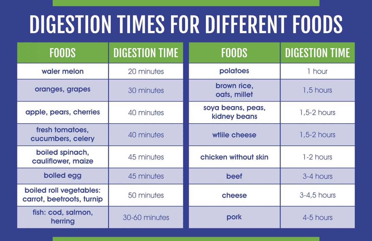 3 Days To Digest   14 08 2018 For Kharimali Digestion Times For Different Food 1236x800 