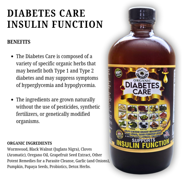 Diabetes Care Insulin Function