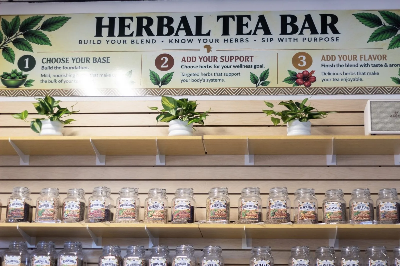 Herbal tea bar with jars of loose herbs at 4 Cycles of Life in Peoria, AZ