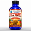 Sea Moss Living Tonic