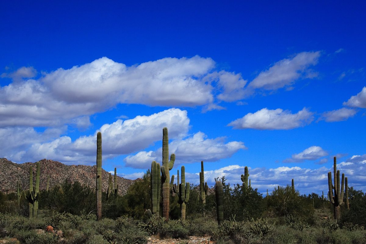 Your West Valley Guide to Our Herbal Tea Shop in Peoria 1 White clouds over the White Tank Mountains in Arizona's West Valley